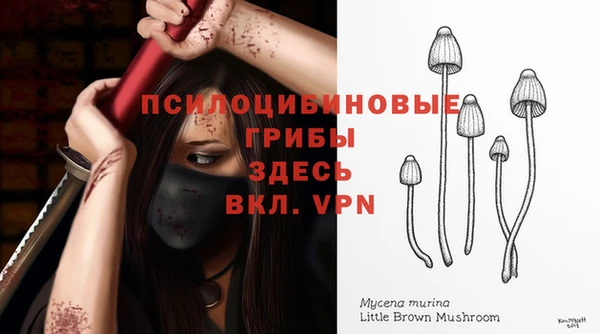 кокаин колумбия Алзамай