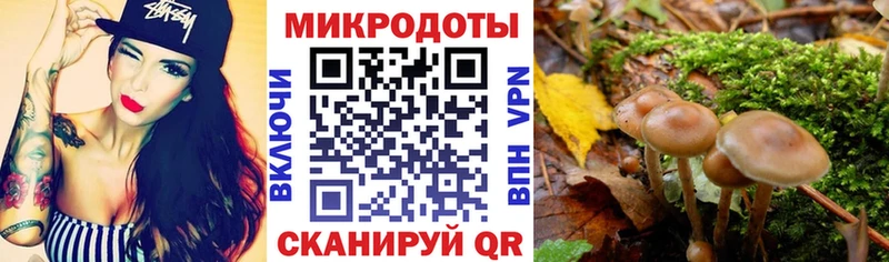 Купить  Салехард  Галлюциногенные грибы MAGIC MUSHROOMS 